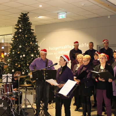 Kerstconcert bij Berden